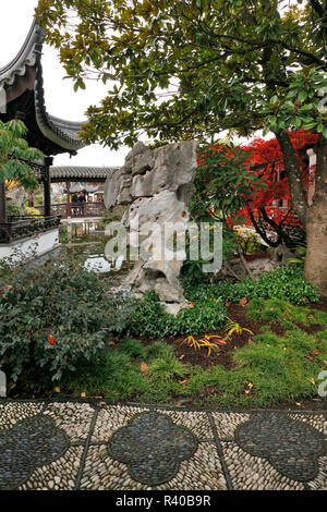 Lan Su Chinesischen Garten Garten Des Erwachens Orchideen In
