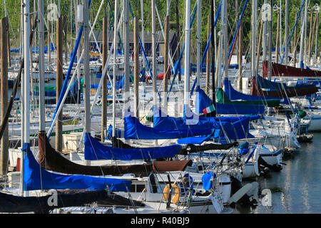 USA, Oregon, Portland. Segelboote angedockt in Tomahawk Bay. Kredit als: Steve Terrill/Jaynes Galerie/DanitaDelimont.com Stockfoto