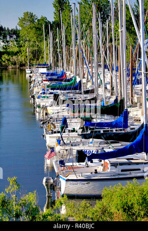 USA, Oregon, Portland. Segelboote angedockt in Tomahawk Bucht in Portland Oregon Credit als: Steve Terrill/Jaynes Galerie/DanitaDelimont.com Stockfoto