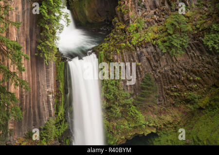 USA, Oregon, Umpqua National Forest. Basaltsäulen und Toketee fällt. Stockfoto