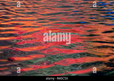 Rogue River fließt und Abholung reflektierende Farben des Herbstes Stockfoto