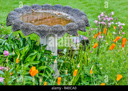 USA, Oregon, Cannon Beach, Blumen und Birdbath Stockfoto