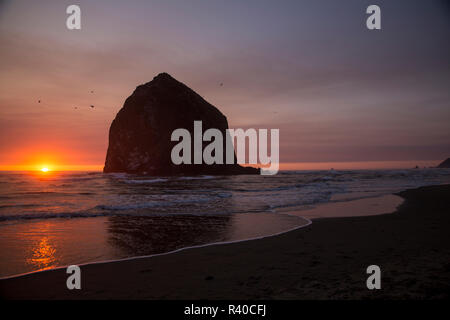 Cannon Beach, Oregon. Glühende Sonnenuntergang taucht ins Wasser Framing der Möwen und Haystack Mountain Stockfoto