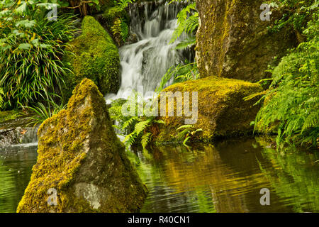 Detail, Himmlischen fällt, untere Teich, Garten, Japanischer Garten, Portland Portland, USA Stockfoto