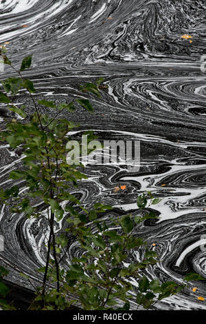 USA, Michigan. Tannin abstrakte Schaum Designs auf dem Black River, Black River Gorge Scenic Byway, Stachelschwein Wilderness Area. Stockfoto