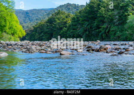 Malerische felsige Flussbett der Anatoki Fluss und Lindgrün neuer willow Blätter und dunkleres Grün von Neuseeland bush Umgebung. Stockfoto