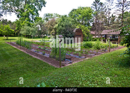 Nordamerika, USA, Minnesota Mendota Heights, Gemüsegarten, Anfang Juli Stockfoto