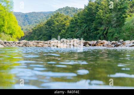 Malerische felsige Flussbett der Anatoki Fluss und Lindgrün neuer willow Blätter und dunkleres Grün von Neuseeland bush Umgebung. Stockfoto