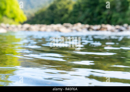 Fokus auf Wasser mit defokussiertem Hintergrund des malerischen Rocky River Bed von anatoki Fluss und Lindgrün neuer willow Blätter und dunkleres Grün von New Zealan Stockfoto