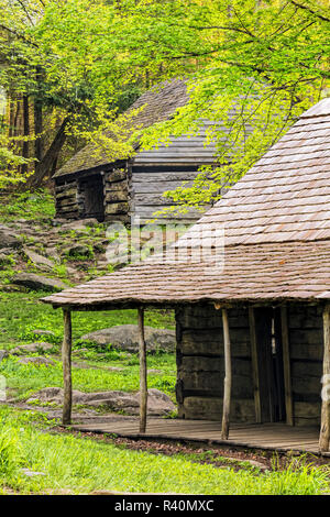 Feder an der Noah "Bud" Ogle Kabine und Scheune, Great Smoky Mountains National Park, Tennessee Stockfoto