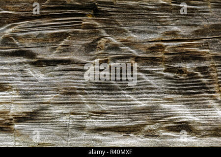 Verwittertes Holz auf Noah "Bud" Ogle Kabine und Scheune, Great Smoky Mountains National Park, Tennessee Stockfoto