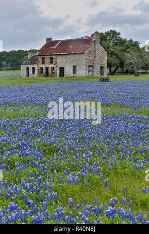 Alten, verlassenen Gehöft mit der Blauen Mützen, Marble Falls, Texas. Stockfoto