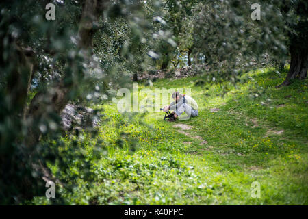 Fotograf im Olive Tree Park, Gargano, Italien, Europa. Stockfoto