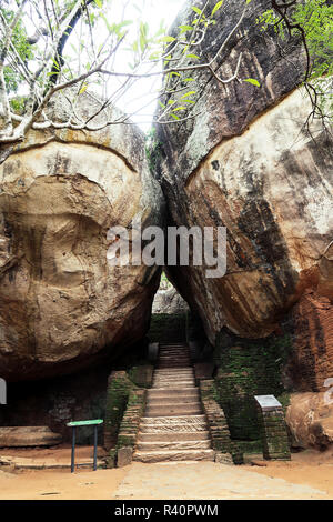 Eingang zu den Sigiriya Felsen, Sri Lanka Stockfoto