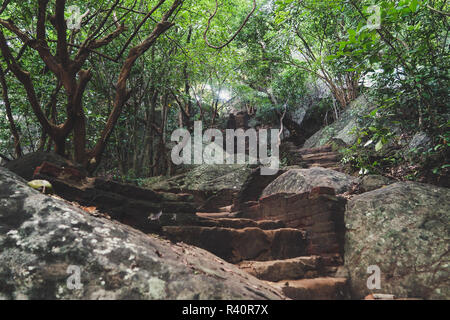 , Die zu Fuss Pidurangala Felsen. Schöne Treppe thro Stockfoto