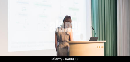 Geschäftsfrau, Business-Präsentation zu machen. Stockfoto