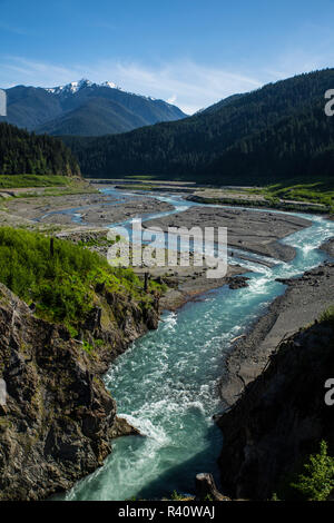 Jefferson County, Washington State. Der Olympische National Park, Elwha River. Olympischen Berge, Wald Clearing und Ablagerungen Stockfoto