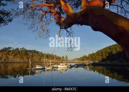 USA, Washington State, San Juan Inseln, sucia Island, Boote gefesselt am Dock in fossilen Bay Stockfoto