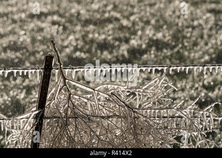Utah. Bewässerung der Felder gefriert und umschließt ein Stacheldrahtzaun auf einem kalten Morgen. Stockfoto