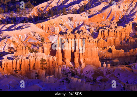 Abendlicht auf Schnee - Entstaubt Felsformationen unter Bryce Point, Bryce Canyon National Park, Utah, USA Stockfoto