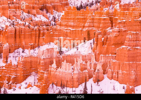 Abendlicht auf Schnee - Entstaubt Felsformationen unter Sunset Point, Bryce Canyon National Park, Utah, USA Stockfoto