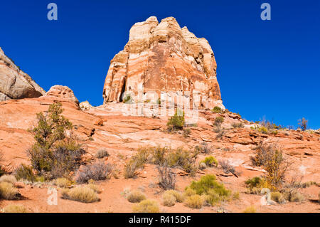 Felsformationen entlang der Spur Calf Creek Falls, Grand Staircase-Escalante National Monument, Utah, USA zu senken Stockfoto