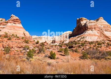 Felsformationen entlang der Spur Calf Creek Falls, Grand Staircase-Escalante National Monument, Utah, USA zu senken Stockfoto