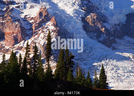 Nisqually Gletscher Detail auf Mount Rainier von Glacier Vista, Mount Rainier National Park, Washington State, USA Stockfoto