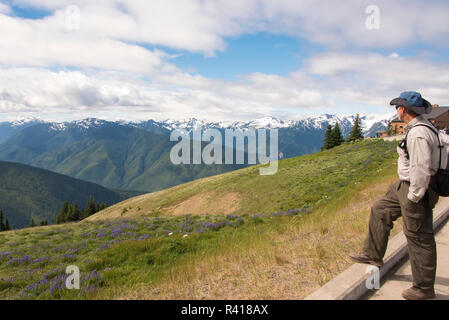 USA, Washington State, Olympic National Park. Wanderer einen weiten Blick von Hurrican Ridge Visitor Center. (MR) Stockfoto