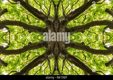 Das Image erstellt wird gemusterten Hintergrund. Stockfoto