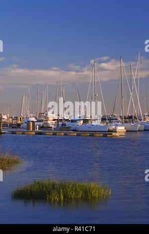 USA, South Carolina, Mt. Angenehm. Boote im Hafen. Stockfoto