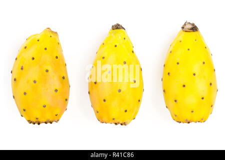 Gelbe Feigenkaktus opuntia oder auf einem weißen Hintergrund. Ansicht von oben. Flach Stockfoto