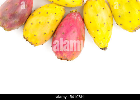 Rot Gelb kaktusfeige oder Opuntia auf weißem Hintergrund mit Kopie Platz für Ihren Text isoliert. Ansicht von oben. Flach Stockfoto