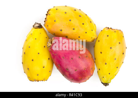 Rot Gelb kaktusfeige oder Opuntia auf einem weißen Hintergrund. Ansicht von oben. Flach Stockfoto