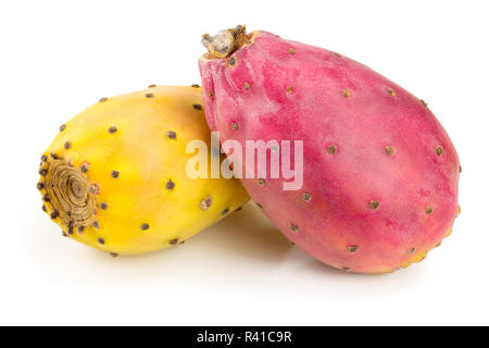 Rot Gelb kaktusfeige oder Opuntia auf weißem Hintergrund Stockfoto