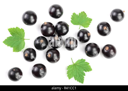 Schwarze Johannisbeere mit Blättern auf weißem Hintergrund. Ansicht von oben. Flach Muster Stockfoto