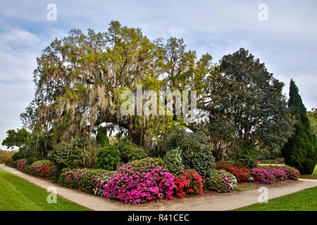 USA, South Carolina, Charleston, das Inn in Middleton Place Stockfoto