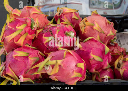 Captain Cook, Hawaii - Dragon Fruit (pitahaya) im Verkauf bei der reinen Kona Grünen Markt. Stockfoto