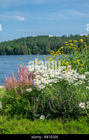 Garten entlang Echo Lake, Ludlow, Vermont, USA Stockfoto