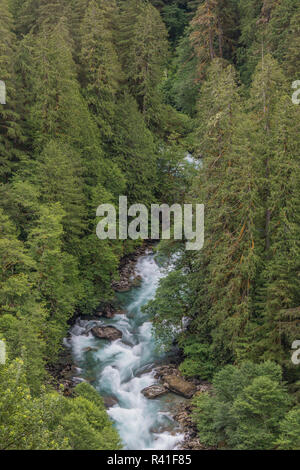 USA, Staat Washington, Mount Baker Snoqualmie National Forest. Cascade River fließt durch den Wald. Stockfoto