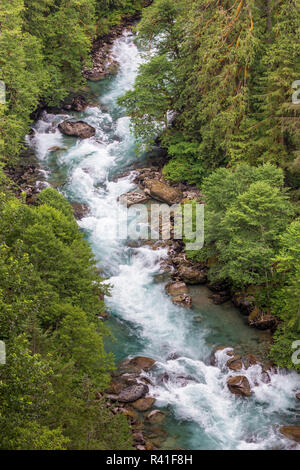 USA, Staat Washington, Mount Baker Snoqualmie National Forest. Cascade River fließt durch den Wald. Stockfoto