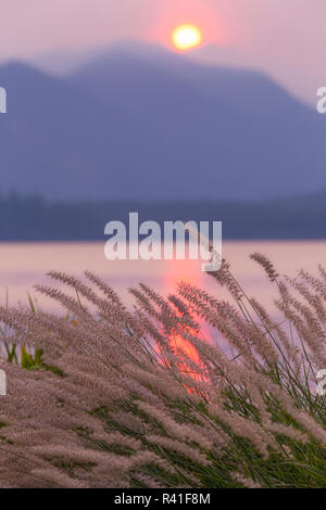 USA, Washington State, seabeck. Sonnenuntergang über der Haube Kanal. Stockfoto