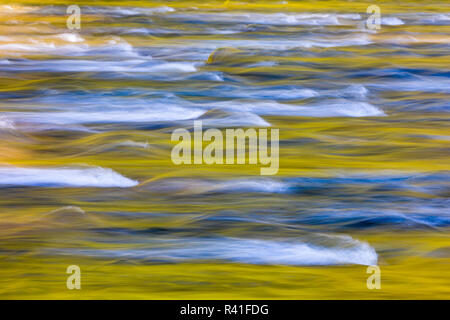 USA, Washington State, Olympic National Park. Golden River Reflexionen von Sonnenbeschienenen Ahornbäumen. Stockfoto