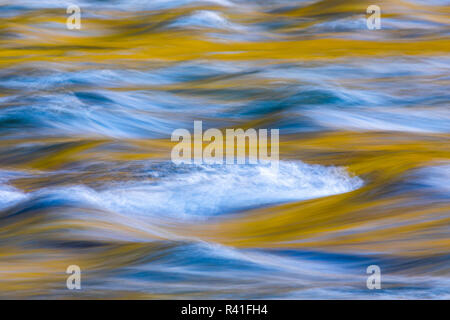 USA, Washington State, Olympic National Park. Golden River Reflexionen von Sonnenbeschienenen Ahornbäumen. Stockfoto