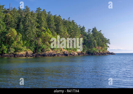 USA, Washington State, San Juan Island, Wald von Pacific madrone und Douglasie über felsige Küste bei San Juan County Park. Stockfoto