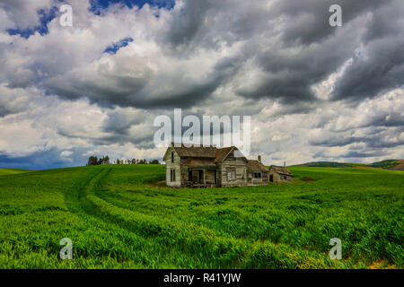 USA, Washington State, Palouse Land, alte Gehöft in den Bereich der Weizen Stockfoto