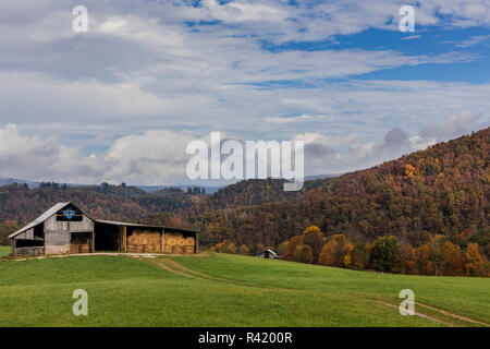 Scheune in der Weide im Randolph County, West Virginia, USA Stockfoto