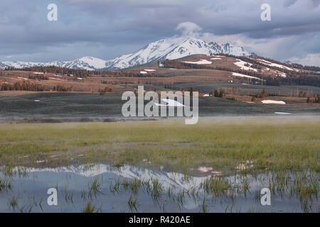 USA, Wyoming, Yellowstone National Park. Nebel über Marsh unter elektrischen Peak und Gallatin Range. Stockfoto