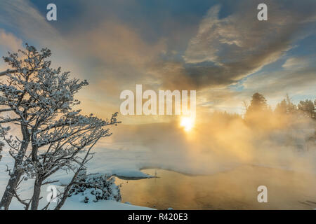 Sunrise grüßt grasartigen Frühling bei Mammoth Hot Springs, Yellowstone National Park, Wyoming, USA Stockfoto