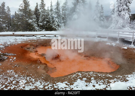 Red Wasserspeier Fumarole im Winter im Yellowstone National Park, Wyoming, USA Stockfoto